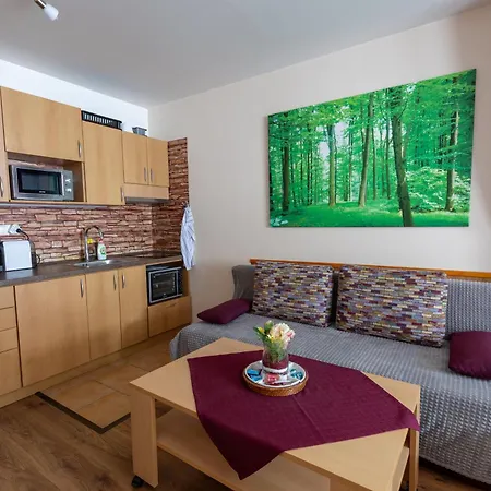 Malino Resort&residences - Fatrapark 2 Appartamento Ruzomberok