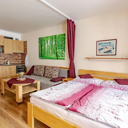 Malino & Residences - Fatrapark 2 Apartmán